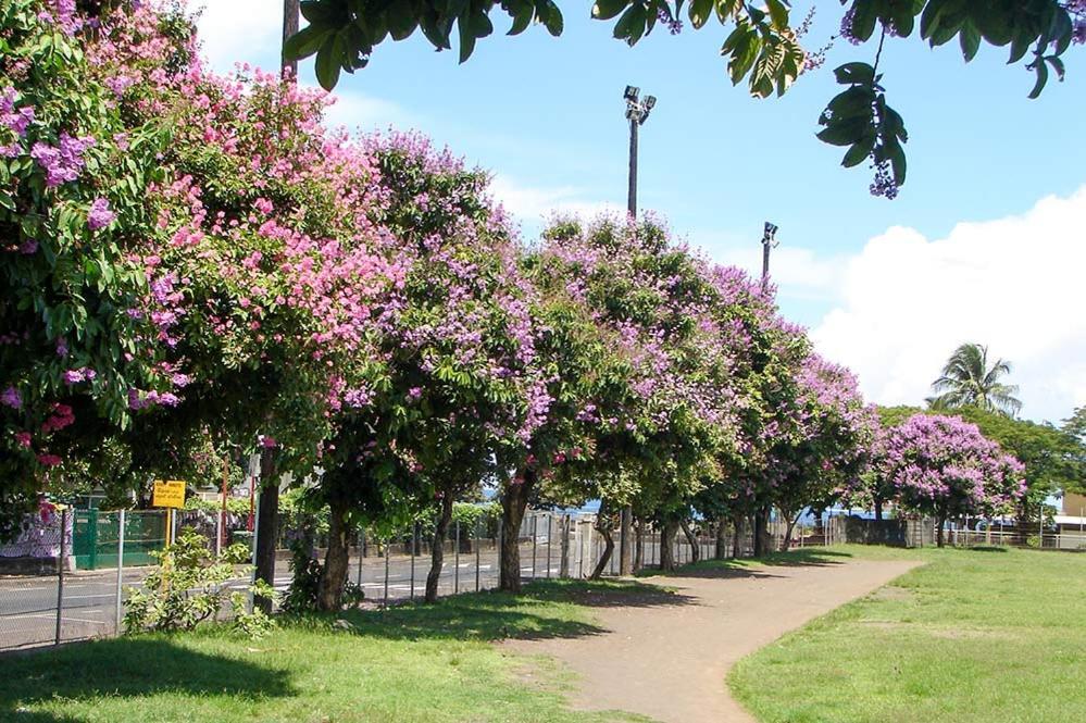 Fare Natihere Papeete  Esterno foto